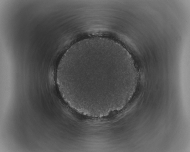 X0000111421060200908241127