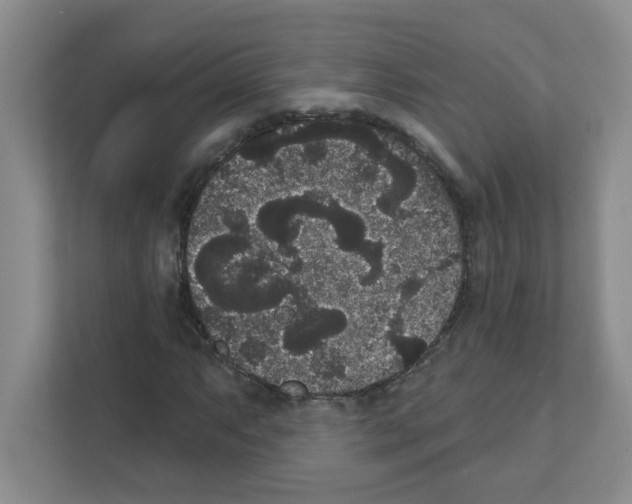 X0000111421063200908241127