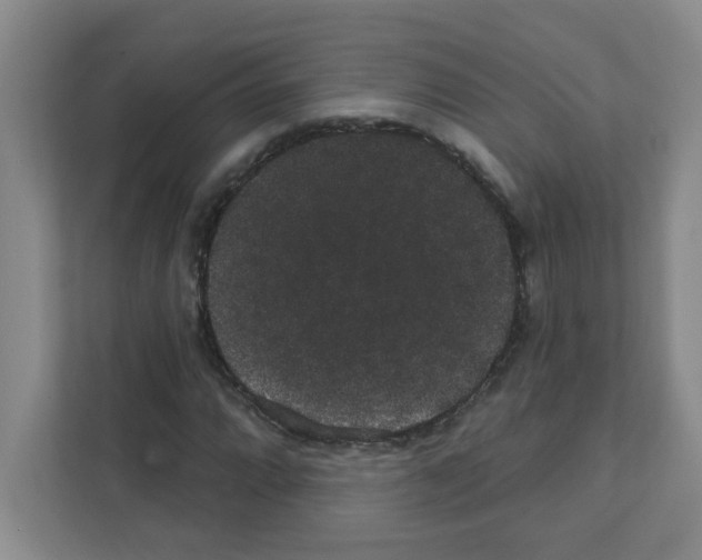 X0000111421064200908241127
