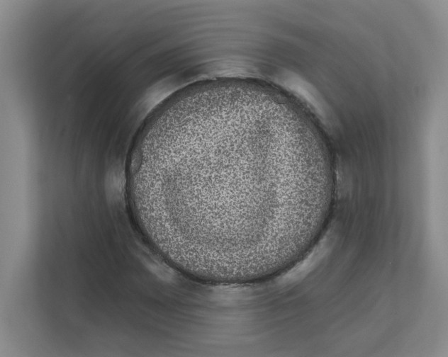 X0000111421065200908241127