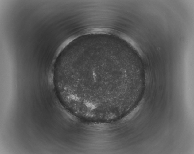 X0000111421066200908241127