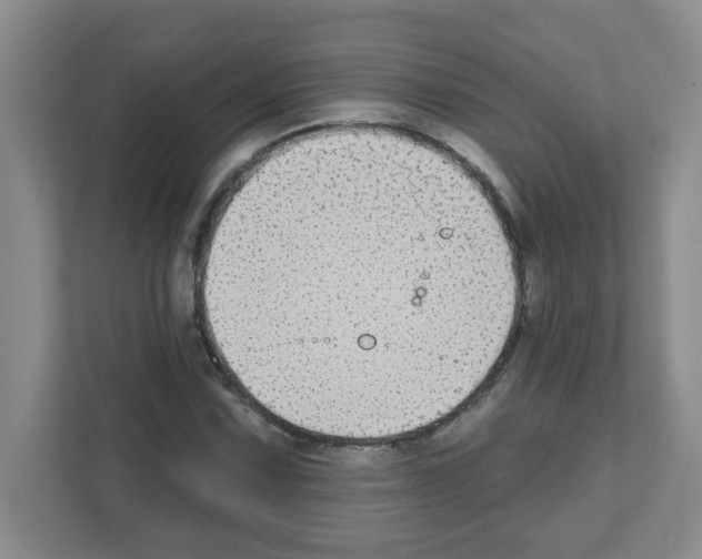 X0000111421067200908241127
