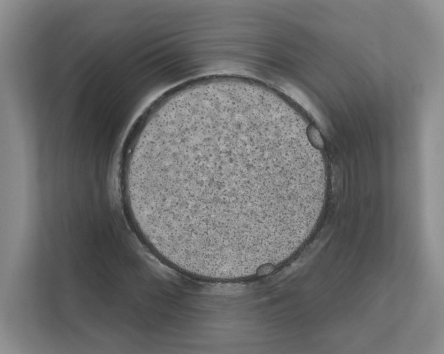 X0000111421068200908241127