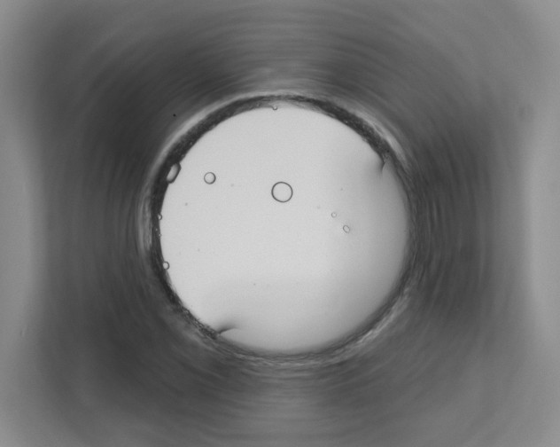 X0000111421069200908241127
