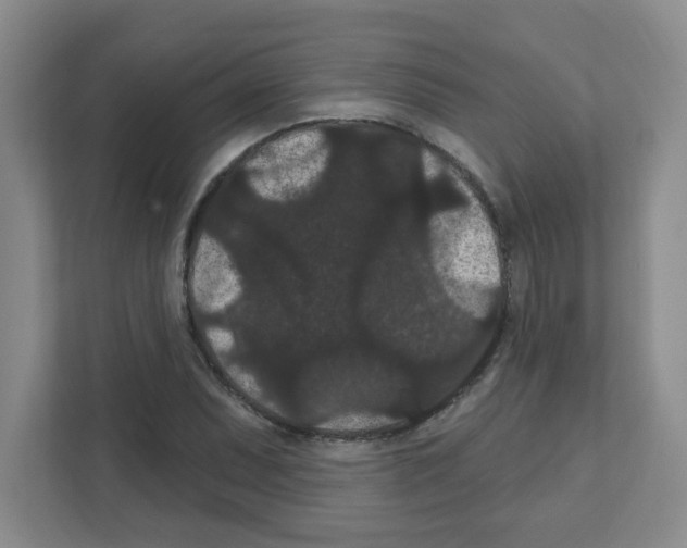 X0000111421071200908241127