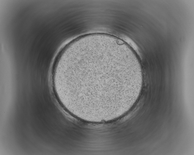 X0000111421072200908241127