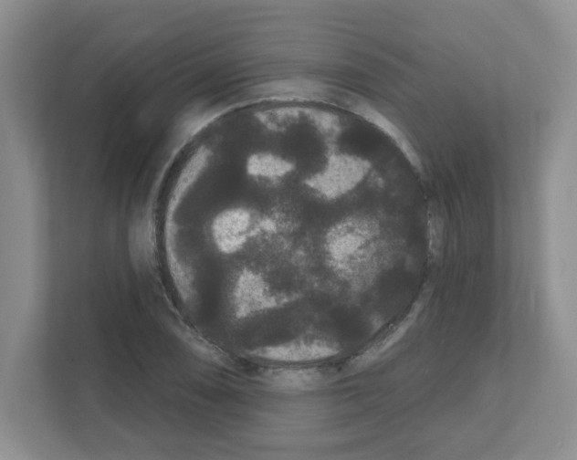 X0000111421074200908241127