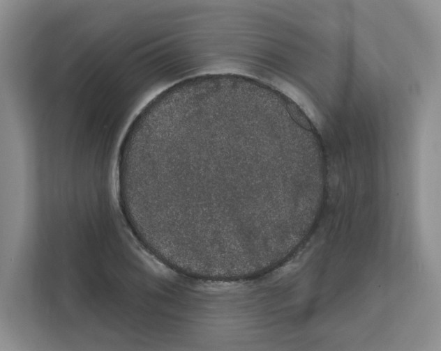 X0000111421076200908241127