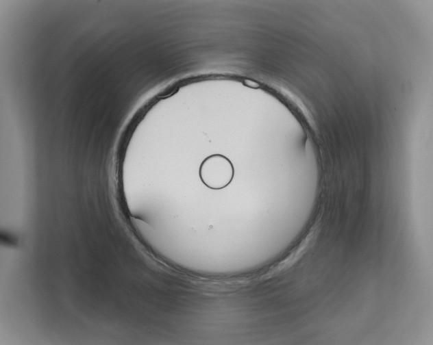 X0000111421077200908241127