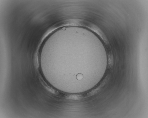 X0000111421078200908241127