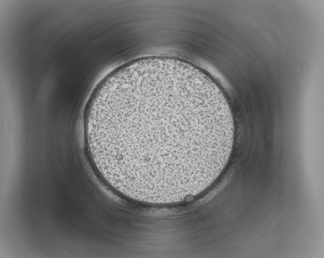 X0000111421079200908241127