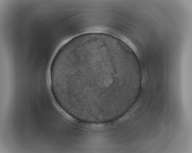 X0000111421080200908241127