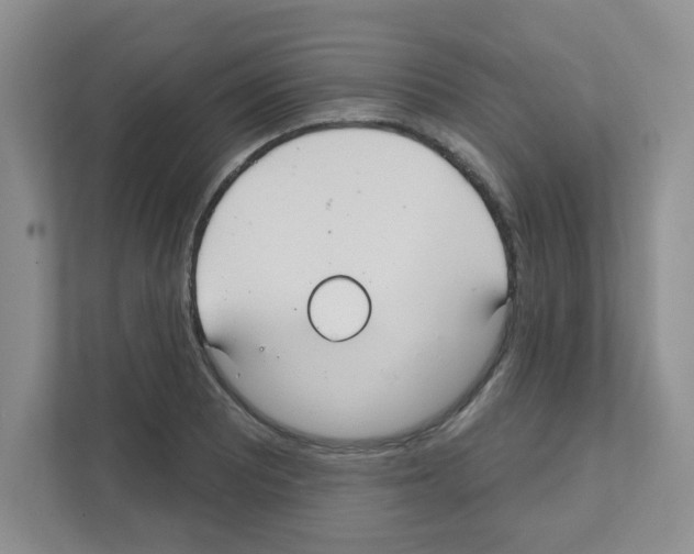 X0000111421081200908241127