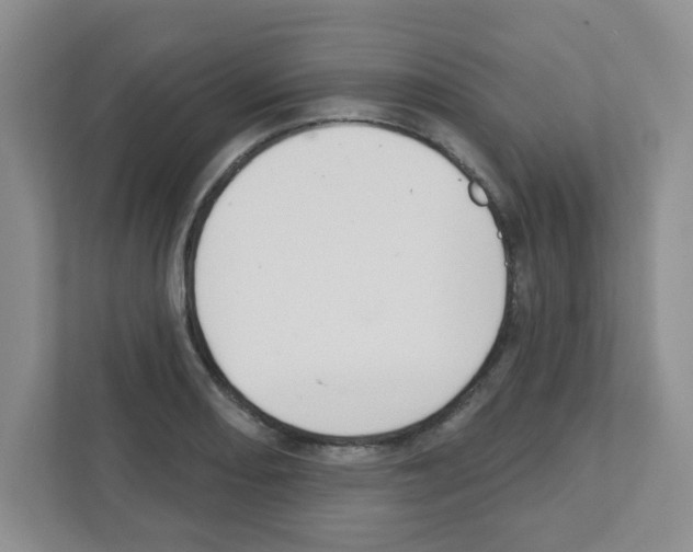 X0000111421082200908241127