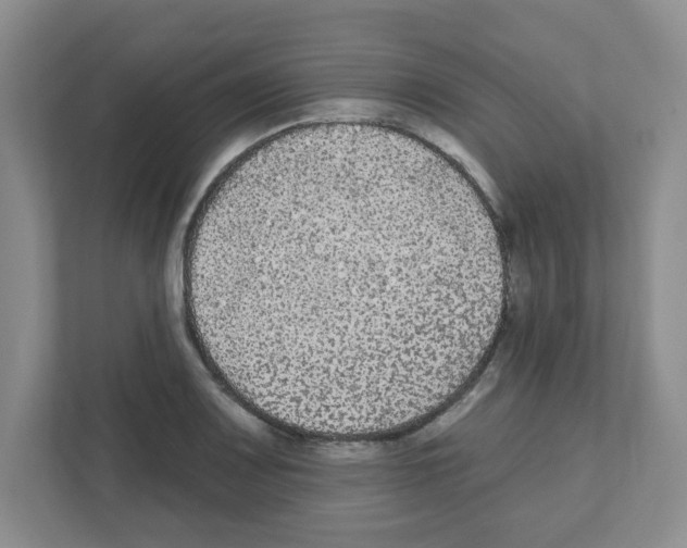 X0000111421083200908241127