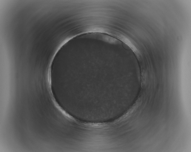 X0000111421084200908241127