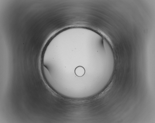 X0000111421085200908241127