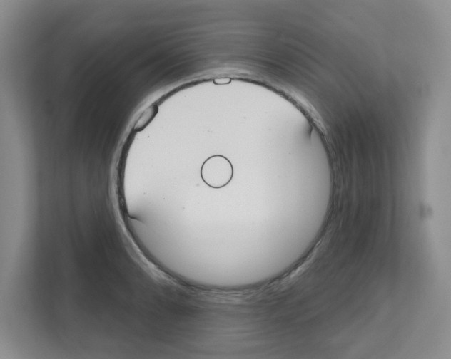 X0000111421086200908241127