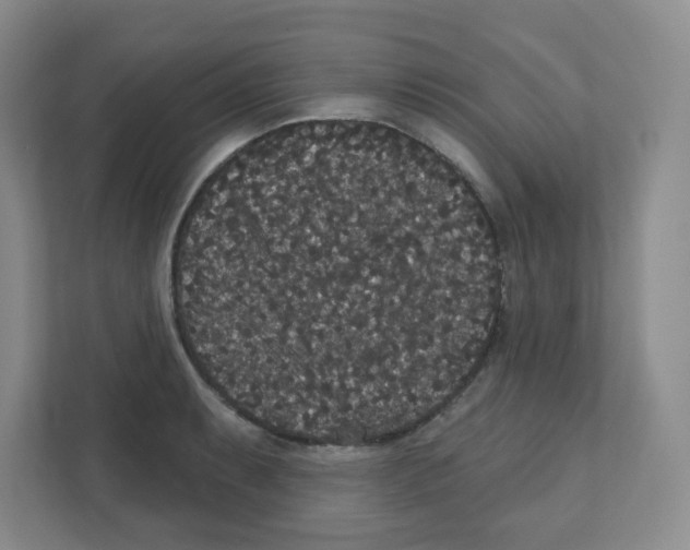X0000111421087200908241127