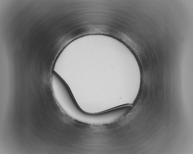 X0000111421089200908241127