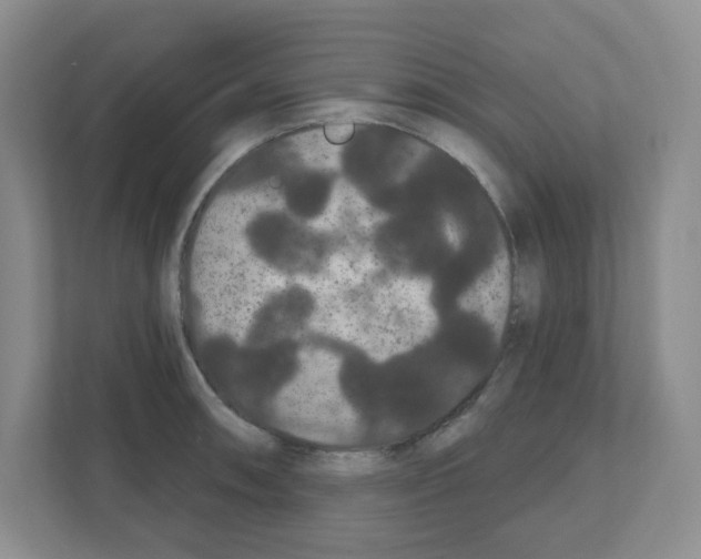 X0000111421090200908241127