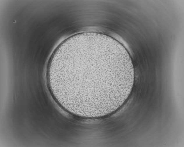 X0000111421091200908241127