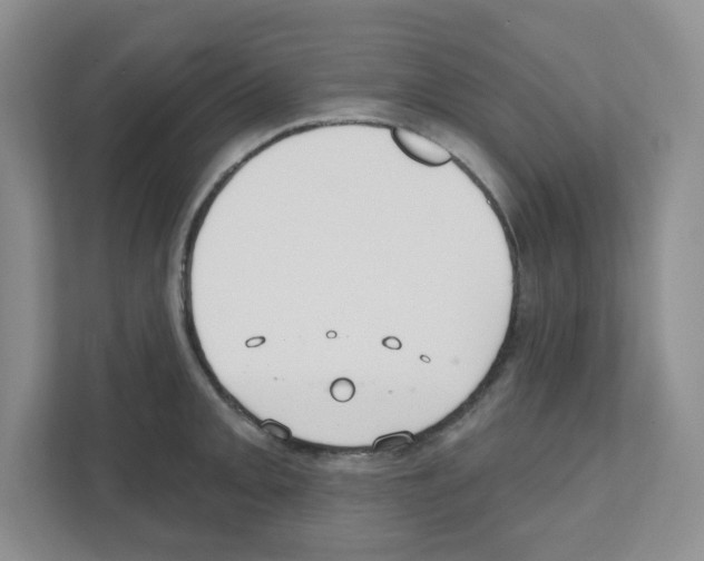 X0000111421093200908241127