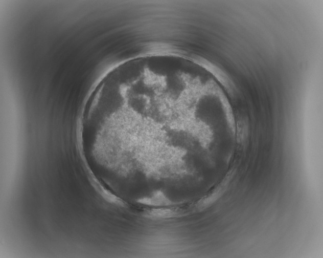 X0000111421094200908241127