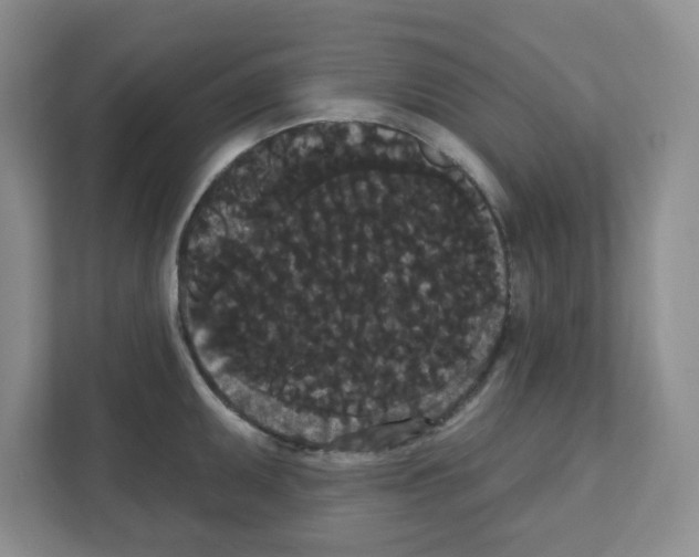 X0000111421095200908241127
