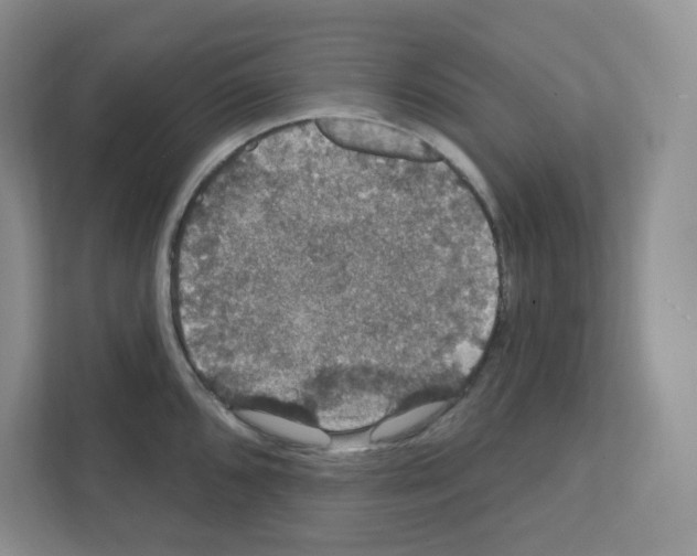 X0000111421096200908241127