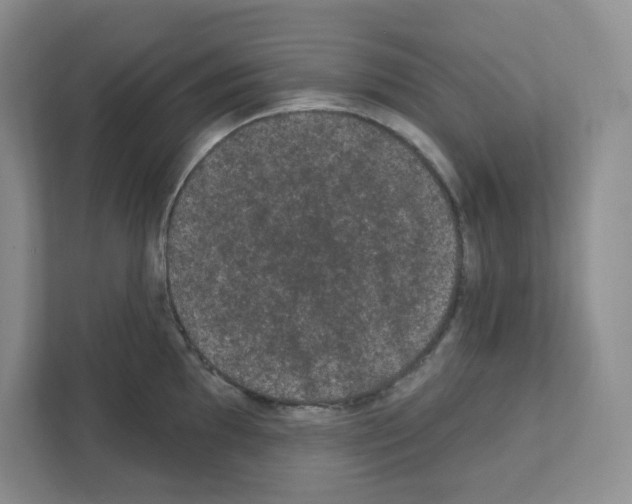 X0000111421097200908241127