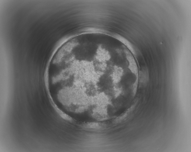 X0000111421098200908241127