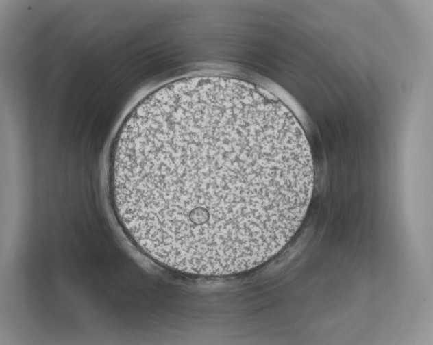 X0000111421099200908241127