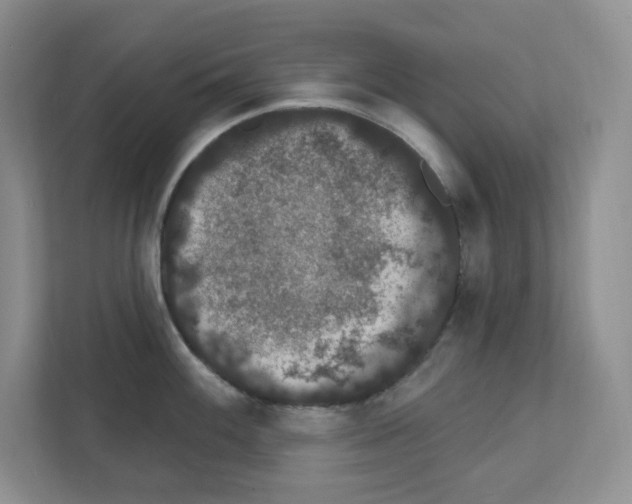 X0000111421100200908241127