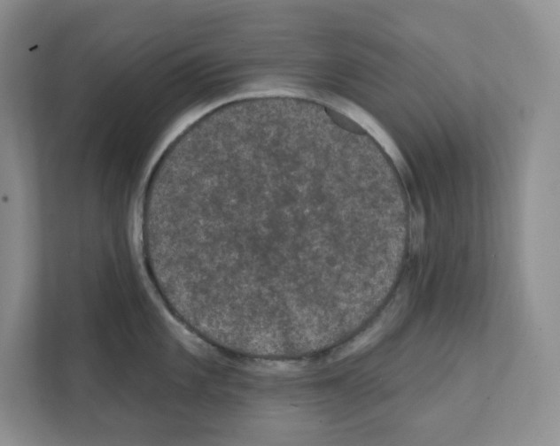 X0000111421101200908241127
