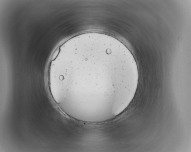 X0000111421104200908241127