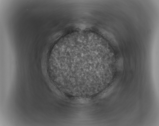 X0000111421105200908241126