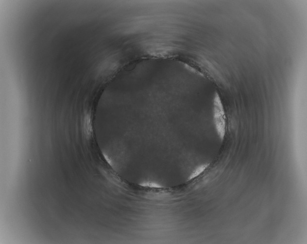 X0000111421106200908241126