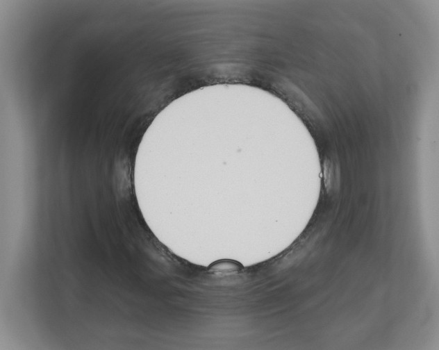 X0000111421107200908241126