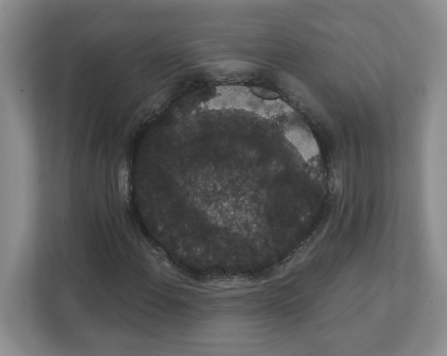 X0000111421108200908241126