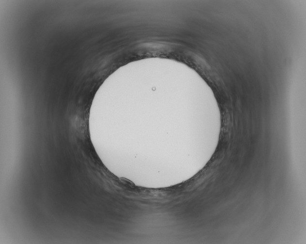 X0000111421109200908241126