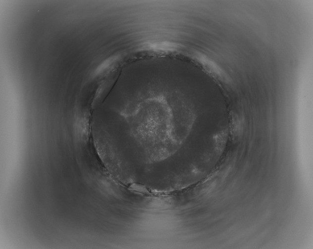 X0000111421110200908241126