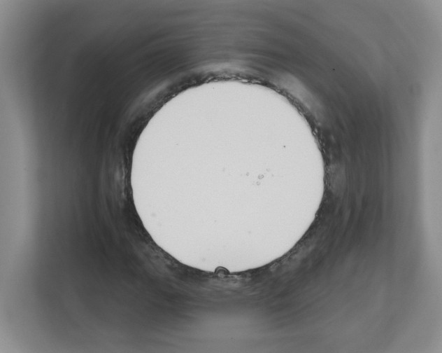 X0000111421111200908241126