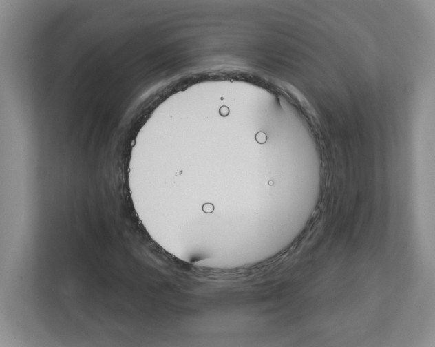 X0000111421112200908241126