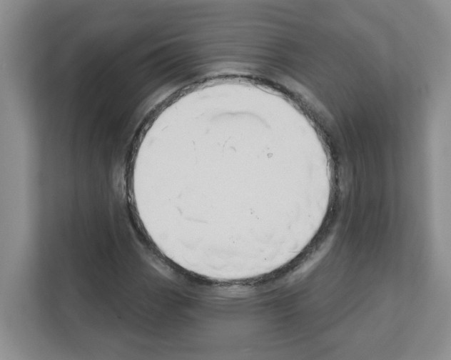 X0000111421113200908241126