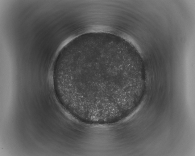 X0000111421114200908241126