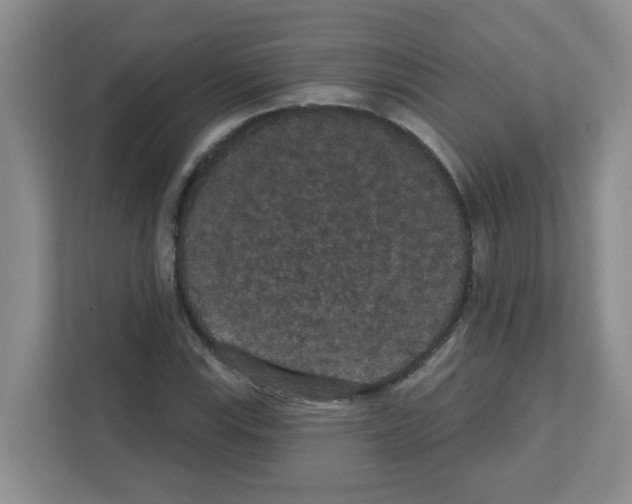 X0000111421115200908241126