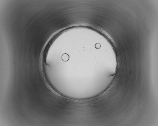 X0000111421116200908241126