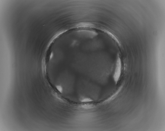 X0000111421117200908241126