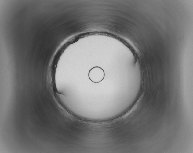 X0000111421118200908241126